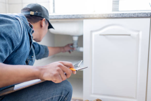 Best Plumbing Inspection Services  in French Valley, CA